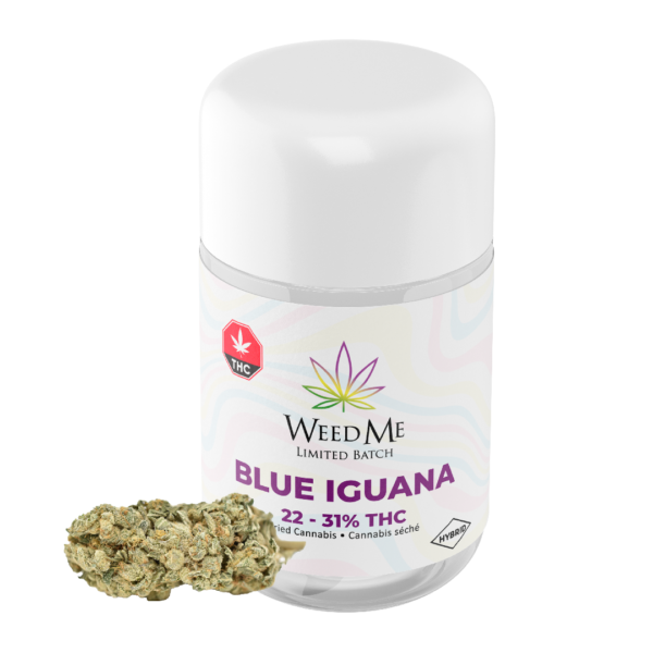 Blue Iguana by Weed Me - 28g