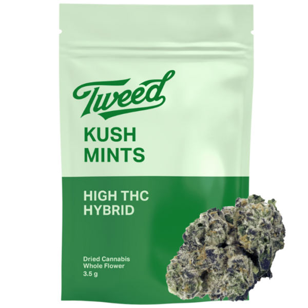 hybrid tweed kush mints