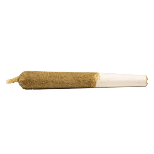 Peach Ringz Infused Pre-Rolls by General Admission - 1x1g, 3x0.5g