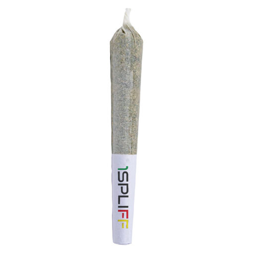 Orange Rntz pre-rolls by 1Spliff - 7x0.5g