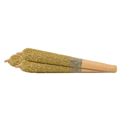 Spicy Chai Infused pre-roll by Weed Me Max - 3x0.5g