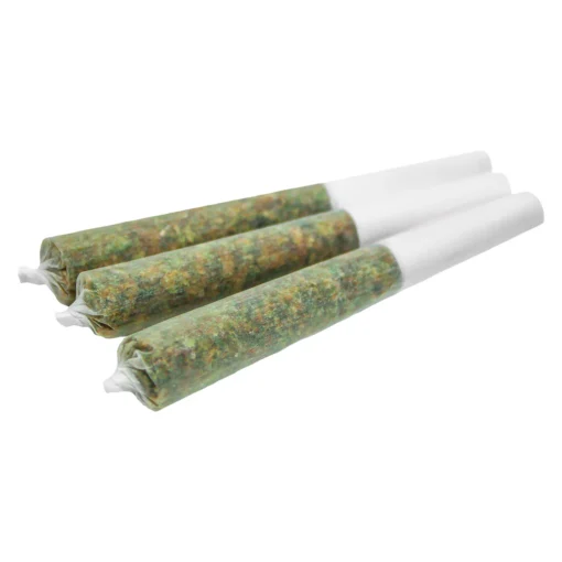 GMO Cookies Pre-Rolls by Spinach - 3x0.5g, 10x0.35g