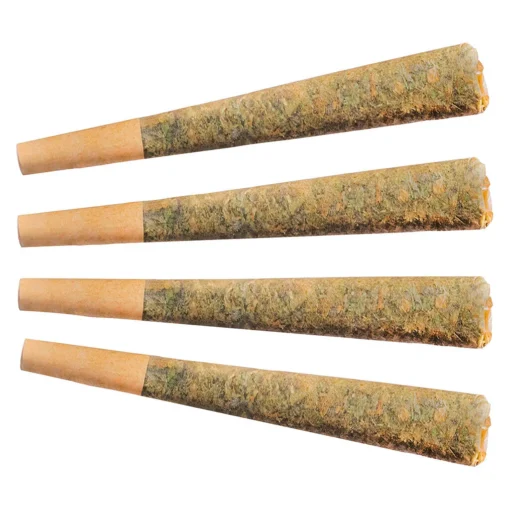 Nightrider Pre-Rolls by Fuego (various sizes) - Image 2