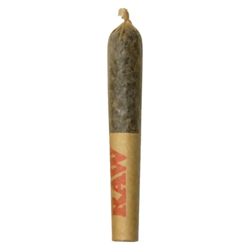 Blue Dream Disty Infused Pre-Roll by Dab Bods - 1x0.7g