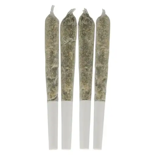 Tropical Pocket Puffs Pre-Rolls by Dime Bag - 4x0.5g