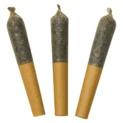 Watermelon Mojo 60's+ Dbl Infused Pre-rolls by Dab Bods - 3x0.5g