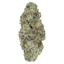 Perma Fried by Pistol and Paris - 3.5g