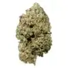 Pink Goo by Pistol and Paris - 3.5g