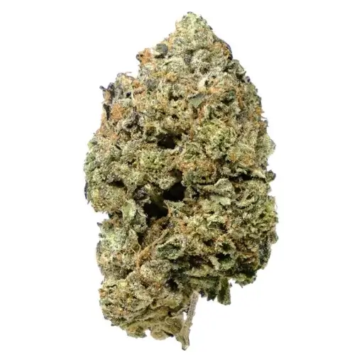 Pink Goo by Pistol and Paris - 3.5g