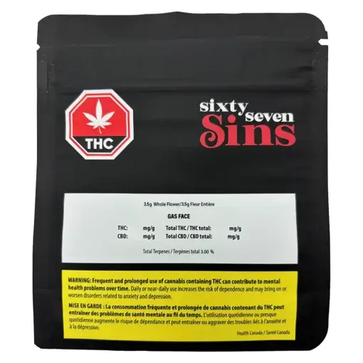 Gas Face by Sixty Seven Sins - 3.5g - Image 2