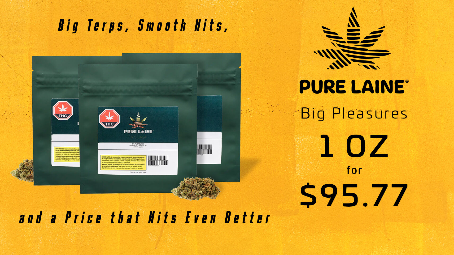 Big Pleasures OZ sale Mississauga