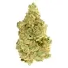 White Widow by Versus - 28g