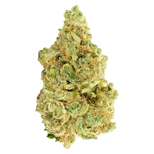 White Widow by Versus - 28g