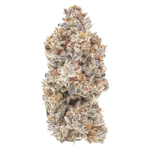 M'mosa by 1964 - 7g