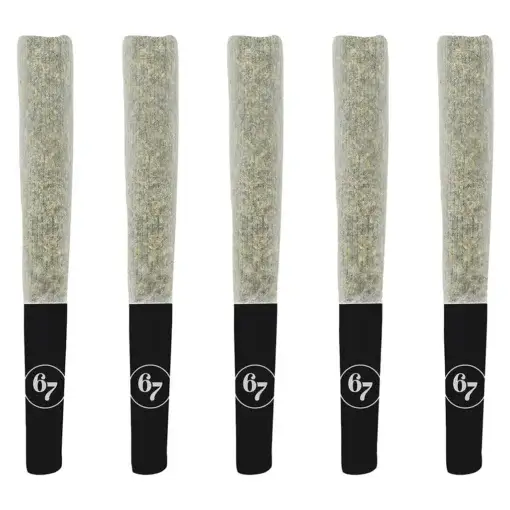 67 Artisan Reserve Pre-Roll by Sixty Seven Sins - 5x0.5g