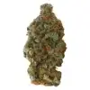 Girl Scout Cookies by Versus - 28g