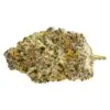 Gorilla Milk by Pure Sunfarms - 7g