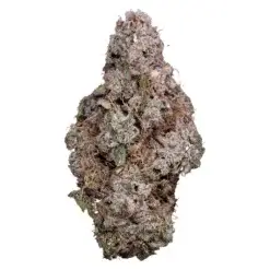 Porto Leche by Tribal - 3.5g