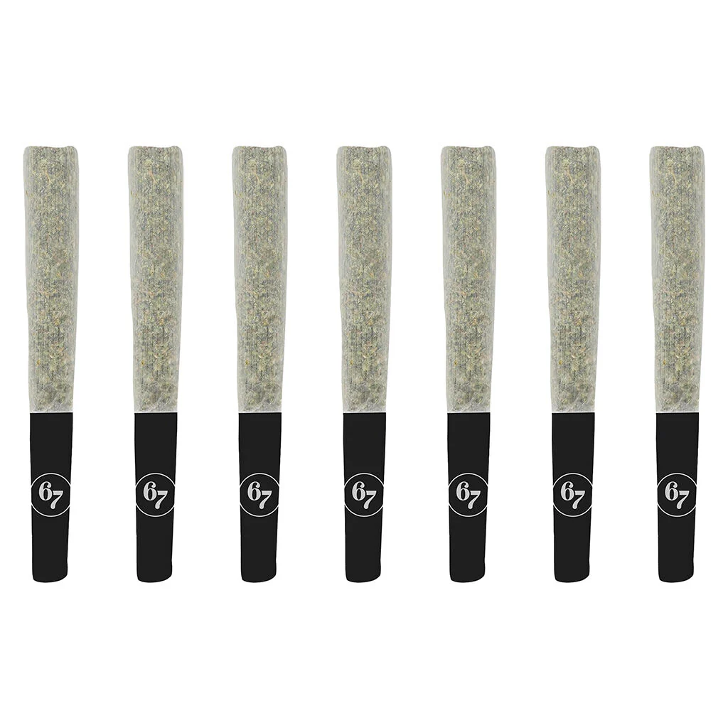 Gary Satan Pre-Roll by Sixty Seven Sins - 7x0.5g