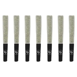 Gas Face Pre-Roll by Sixty Seven Sins - 7x0.5g