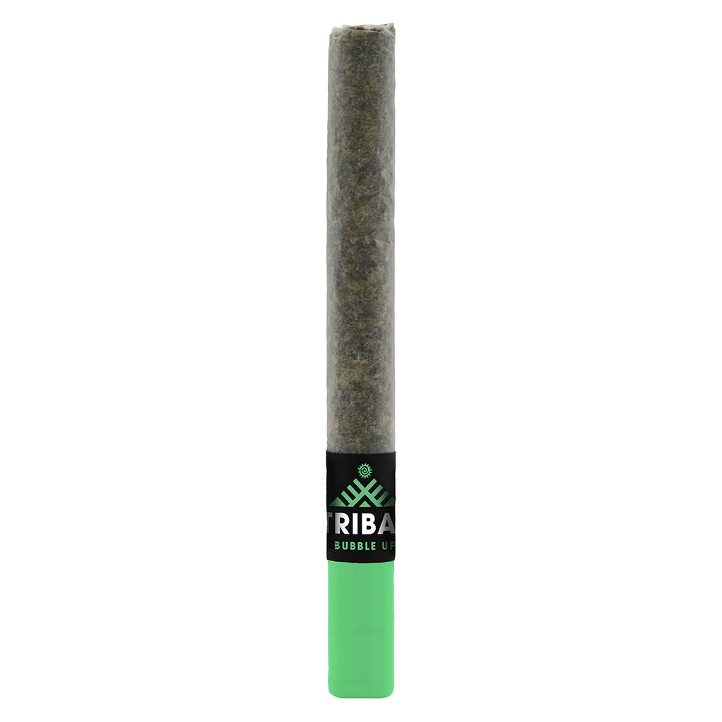 Bubble Up Ceramic Tip Pre-Roll by Tribal - 1x1g