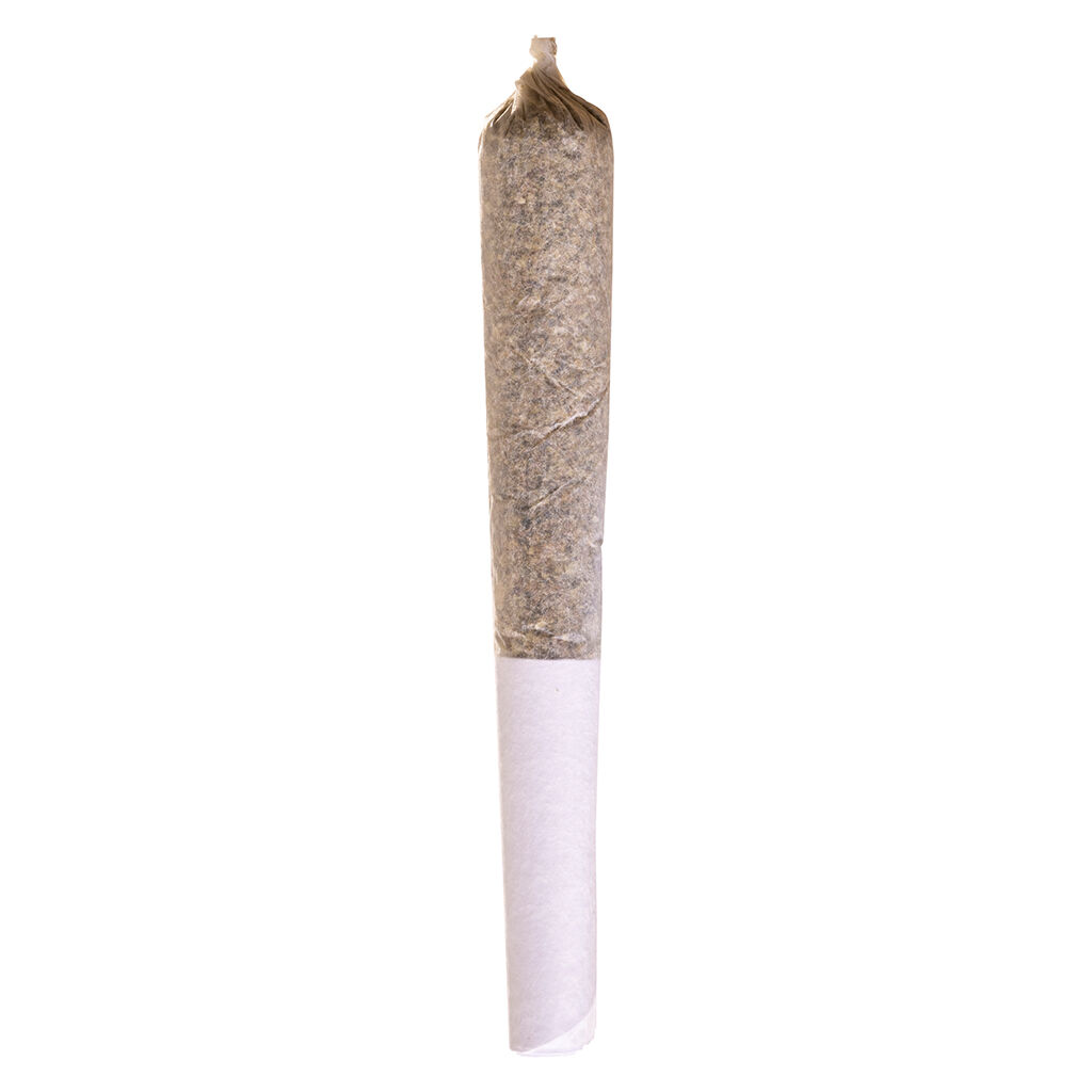 Blue Dream Express Infused Pre-Roll by Station House - 1x0.5g