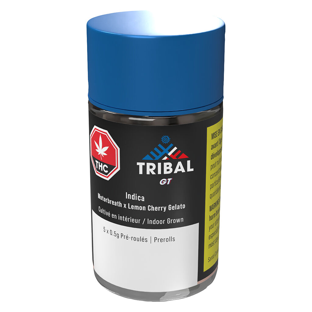 GT Pre-Roll by Tribal - 5x0.5g - Image 2