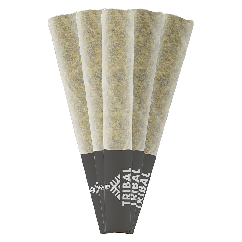 GT Pre-Roll by Tribal - 5x0.5g