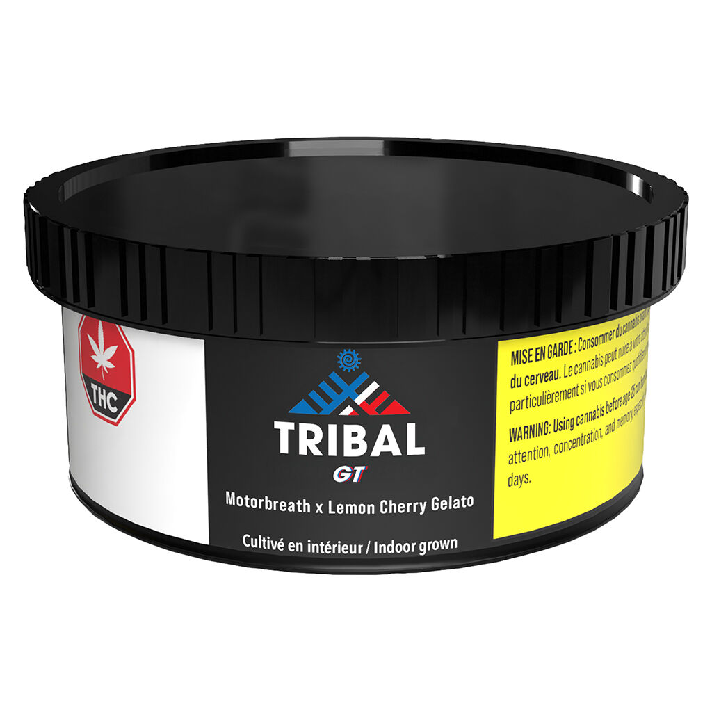 GT by Tribal - 3.5g - Image 2