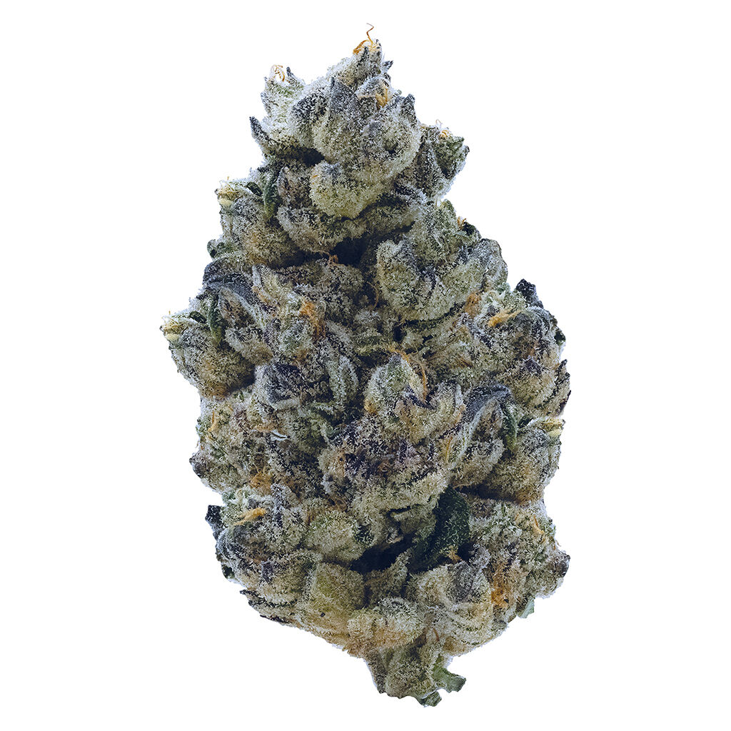 GT by Tribal - 3.5g